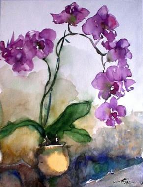 ORCHID