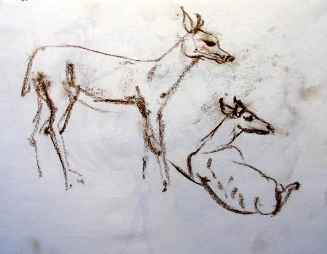 TWO DEERS